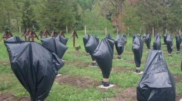 George Simion BĂTUT. Cercetare Diaspora Europeană: "E clar că..."