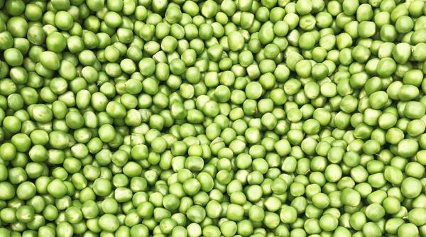 Reprezentanța CE în România, MESAJ despre „importurile de mazăre din Madagascar”