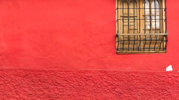 Un cuplu din Spania a descoperit 80.000 de albine în peretele dormitorului