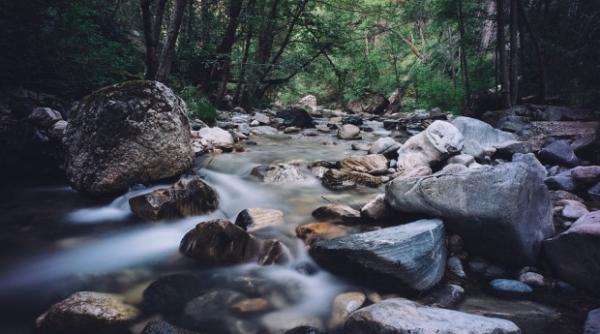 Patru copii, cu vârste cuprinse între 9 luni și 6 ani, luați de o viitură de lângă mamă. Pompierii ii caută cu disperare în Prahova