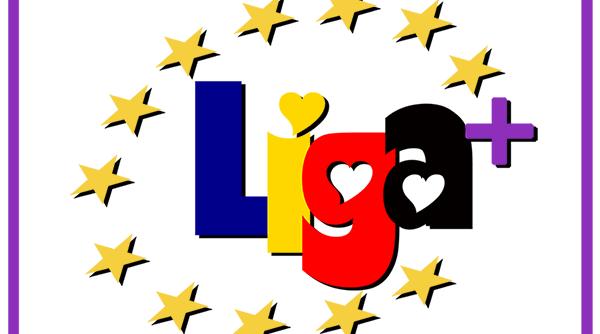 Liga + "Partidul Românilor din Germania", sondaj pentru rezolvarea problemei votului în Diaspora