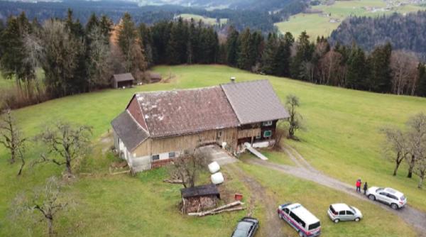 Austria. Trei ROMÂNI au ABUZAT un fermier până a rămas INCONȘTIENT