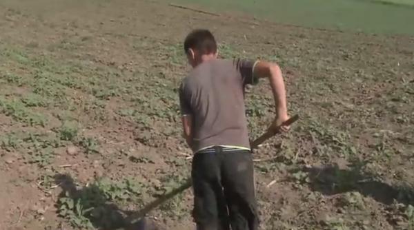 Italia. Muncitori EXPLOATAȚI, român ARESTAT