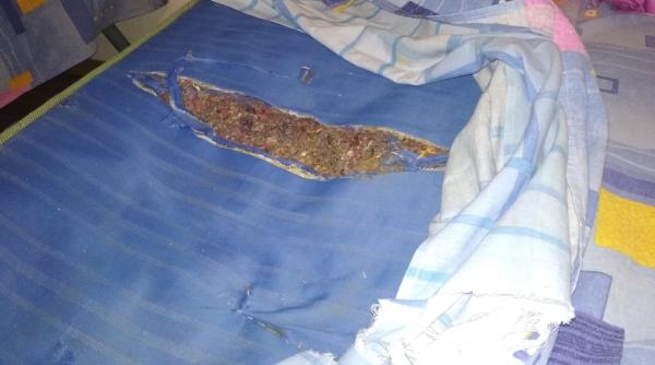 Cum au fost cazați elevii la un concurs național organizat în Teleorman: Pușcăriașii au condiții mai bune decât elevii premianți