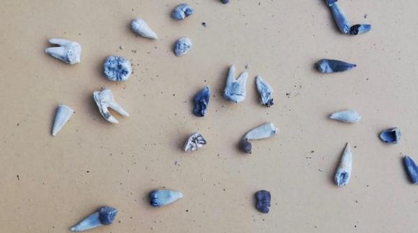 Directorul INML, EXPLICAȚII de ULTIMĂ ORĂ în privința reluării testelor ADN în cazul de la Caracal