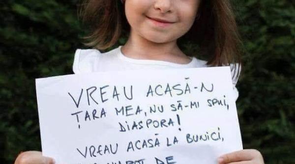 Sondaj: Aproape JUMĂTATE din românii din Diaspora vor să se întoarcă acasă. Ce îi oprește