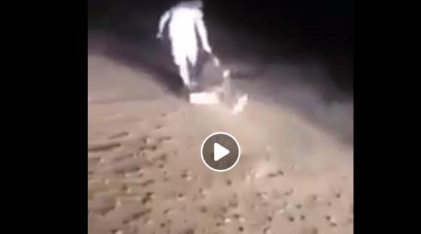 Scene CUMPLITE. O tânără ROMÂNCĂ, lovită cu PICIOARELE de un interlop. IMAGINI CARE VĂ POT AFECTA EMOȚIONAL! (VIDEO)