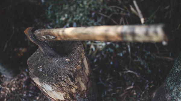 Femeie UCISĂ în plină stradă de autori necunoscuți