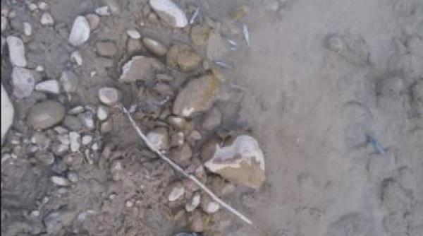 ALERTĂ BIOLOGICĂ în județul Vâlcea: Mii de români ÎN PERICOL 