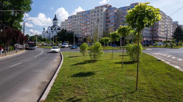 Motivul NEAȘTEPTAT pentru care o familie româno-engleză a lăsat Marea Britanie pentru România