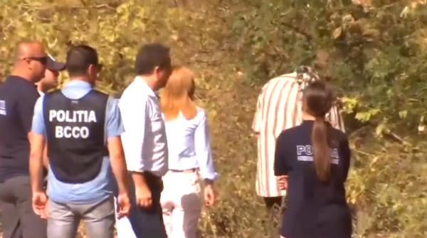 Oasele din pădure NU sunt ale Alexandrei. Comunicat de ULTIMĂ ORĂ al DIICOT