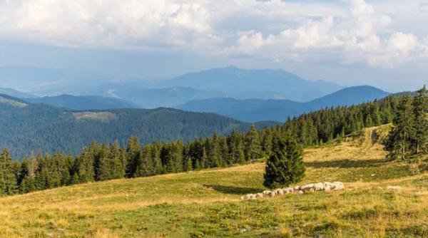 Turistă de 70 de ani, epuizată, salvată de salvamontiști de pe munte