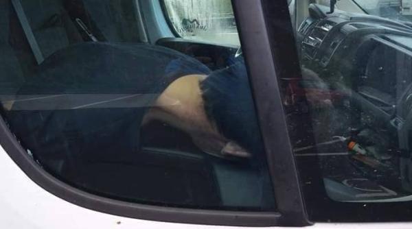 Cine este tânărul şofer găsit MORT în cabina camionului său. S-a angajat în urmă cu o LUNĂ