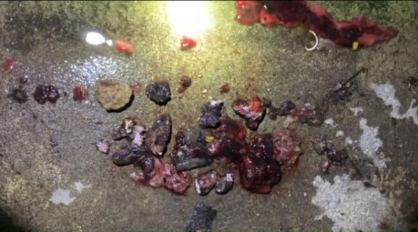 Descoperire MACABRĂ în beciul casei: Un bărbat s-a trezit că este inundat cu SÂNGE 