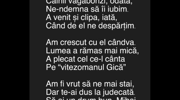 Flick - ultimele versuri pentru Mihai Constantinescu: „A plecat cel ce-l cânta /  pe 'vitezomanul Gică'“
