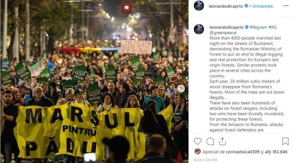 Leonardo DiCaprio, postare INEDITĂ din ROMÂNIA: „Trebuie să protejăm pădurile și oamenii care le protejează“