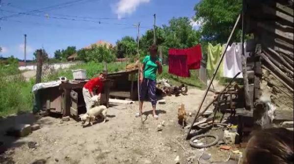 Interlop român, VĂCAR în ITALIA. Cum l-au mirosit autoritățile