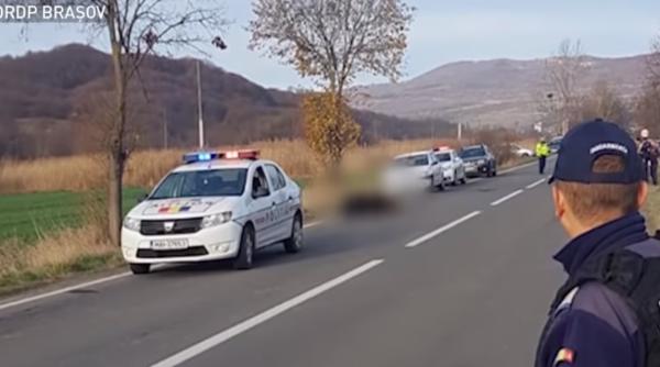 Un alt urs, LOVIT de o maşină. Cum au acţionat autorităţile de această dată