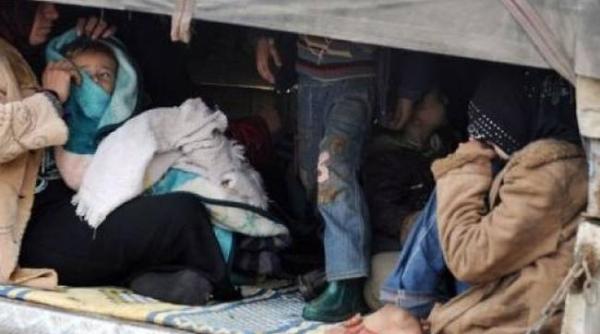 Român, CONDAMNAT în Anglia. A ascuns migranți în microbuzul său