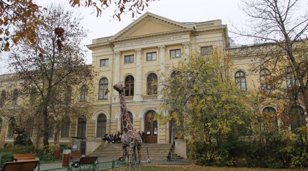 O noapte la muzeu... La Antipa, la fel ca în film!