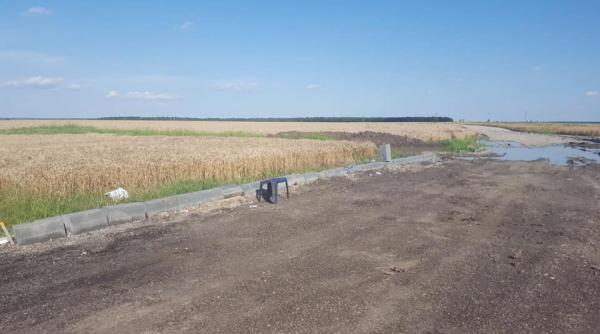 Trandafiri plantați în craterele de pe un drum național: „Plantez niște ficuși”/ „Ăia sunt ficuși?”/ „Dar asta e șosea?” 