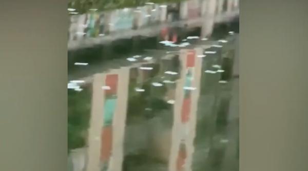 Italia. Locuitorii din Milano au avut parte de o SURPRIZĂ: mii de bancnote de 100 euro PLUTEAU pe un canal (VIDEO)