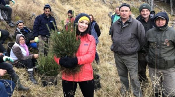 O ROMÂNCĂ din Marea Britanie a plantat 15.000 de copaci