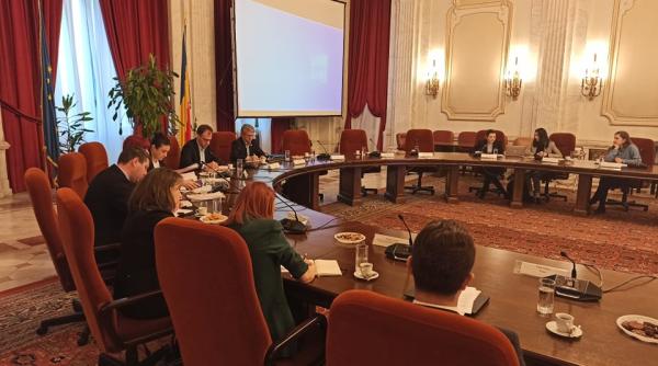 Românii din Diaspora cer să-și poată schimba buletinele fără să revină în țară. Răspunsul autorităților române