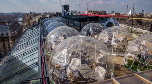 Veseli sub cerul Bucureştiului înstelat