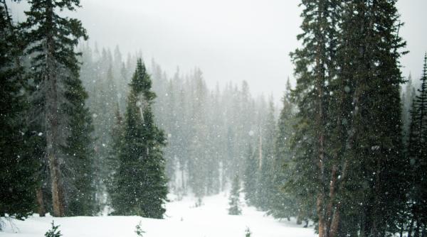 Prognoza meteo de Crăciun. Temperaturi peste valorile normale ale perioadei