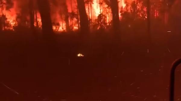Australia. Mărturiile românilor prinși în infern: „Totul arde şi este învăluit în fum” (VIDEO)