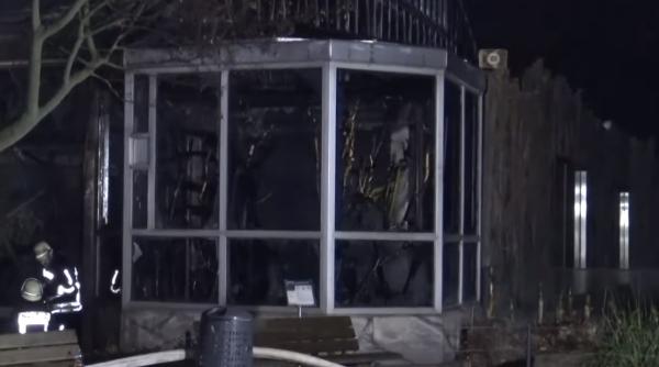 Germania. Un lampion a provocat incendiul devastator din grădina zoo. Animalele nu au avut nicio şansă să scape