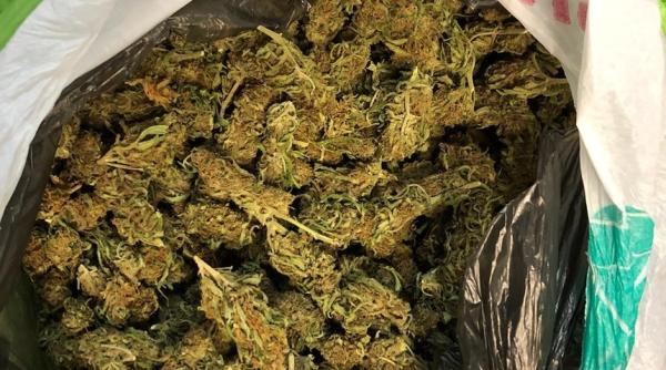 "Cadoul" din Portugalia i-a băgat la răcoare pe doi români. 8 KG de cannabis trimise cu o firmă de curierat