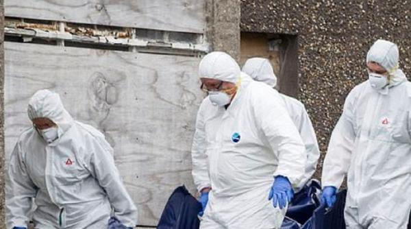 Irlanda. Un român ar fi tranșat un bărbat. Bucățele din trup au fost găsite în spatele casei