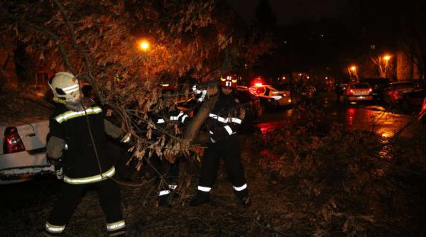 Vremea face ravagii în 8 județe: Copaci doborâţi, stâlpi de telefonie căzuți, TIR-uri blocate
