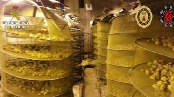 Spania. Român, arestat după un schimb de focuri ca-n filme. Era parte a unei rețele de producție de droguri