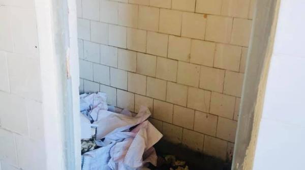 Violeta Alexandru: „Folosesc actele românilor când își FAC NEVOILE la baie"