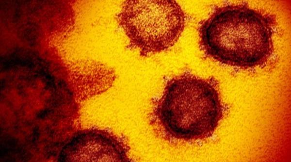 Cât supravieţuieşte coronavirusul pe suprafeţe. Descoperire uimitoare a medicilor