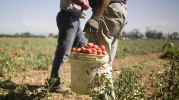 Coronavirus. Germania nu mai primeşte lucrători sezonieri