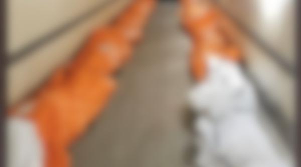 Poză tulburătoare distribuită de o asistentă din New York: "Trebuie să le arăt oamenilor"