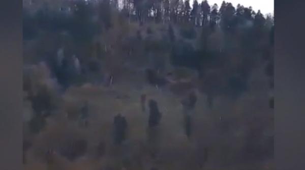 Alunecare de teren în Azuga: 20 de familii au fost evacuate, după ce "pădurea a luat-o la vale" 