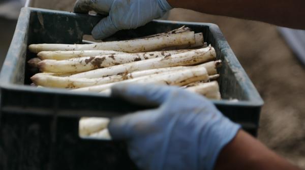 Mesaj viral despre românii care pleacă la muncă în Germania: Pentru cei 'ÎNGRIJORAȚI'. În acest an e posibil să fie ALTFEL