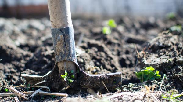 Caz șocant. Femeie bătută și îngropată de vie. Sora acesteia a găsit-o (FOTO)