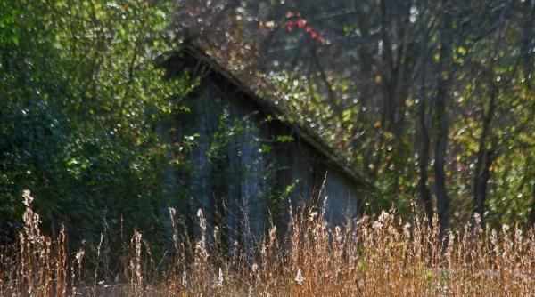 Sfârşit trist pentru o româncă din Italia. A fost găsită moartă într-o baracă murdară. Alcoolul i-a pus capăt