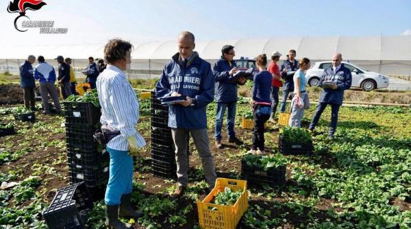 Italia vrea să dea permise de MUNCĂ pentru mii de migranţi: Au nevoie de muncitori în agricultură. Salvini e ÎMPOTRIVĂ