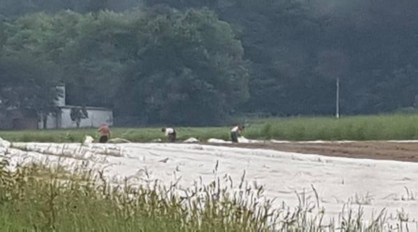 Muncă în străinătate. Cum să te fereşti să ajungi victimă a traficului de persoane: "Mulţi pleacă la orice ofertă muncă"