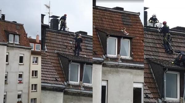 Germania. Băiețel salvat de pe acoperișul unui bloc cu 5 etaje: „A avut mai mulți îngeri păzitori” (VIDEO)