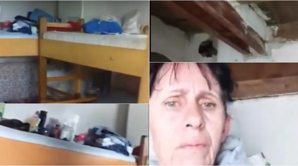 Austria. Muncitori români la sparanghel, puși să doarmă în grajd și să lucreze 14 ore pe zi fără să fie plătiți (VIDEO)