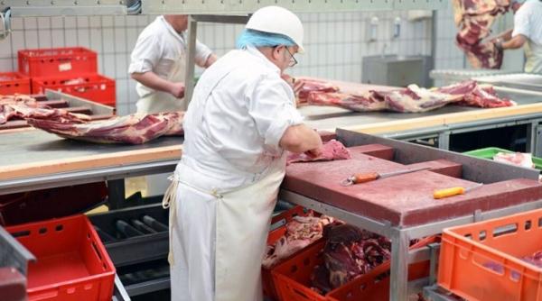 Germania. A treia rundă de testare la abator. 10 români, contaminați cu noul coronavirus