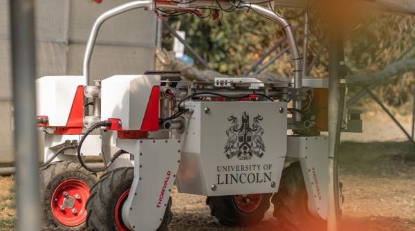 Muncitorii sezonieri români riscă să rămână fără locurile de muncă: Fermierii din Anglia testează roboții care culeg fructele